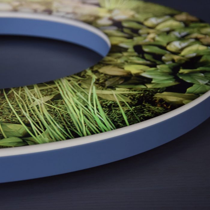 Moosbuchstabe – Nachhaltiges Naturdesign für Logos