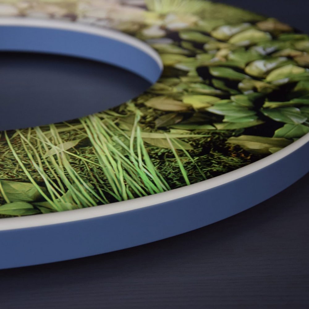 Nahaufnahme eines Moosbuchstabens mit grünem Naturdesign für nachhaltige Werbung