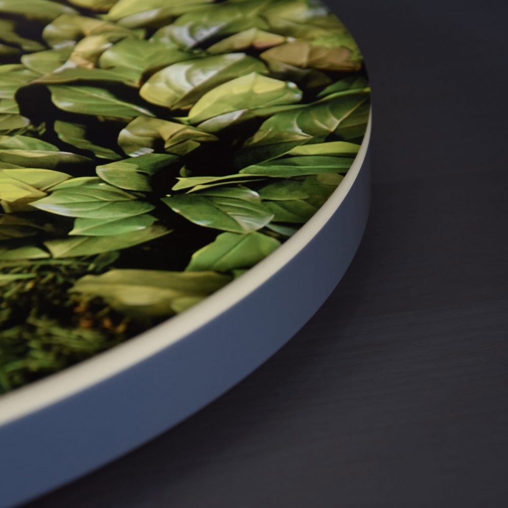 Nahaufnahme eines Moosbuchstabens mit grünem Naturdesign für nachhaltige Werbung