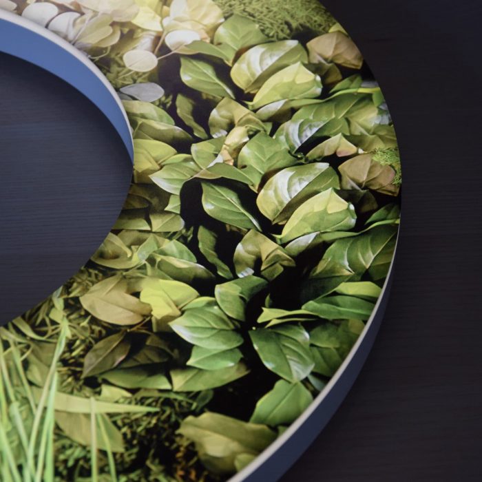 Moosbuchstabe – Nachhaltiges Naturdesign für Logos