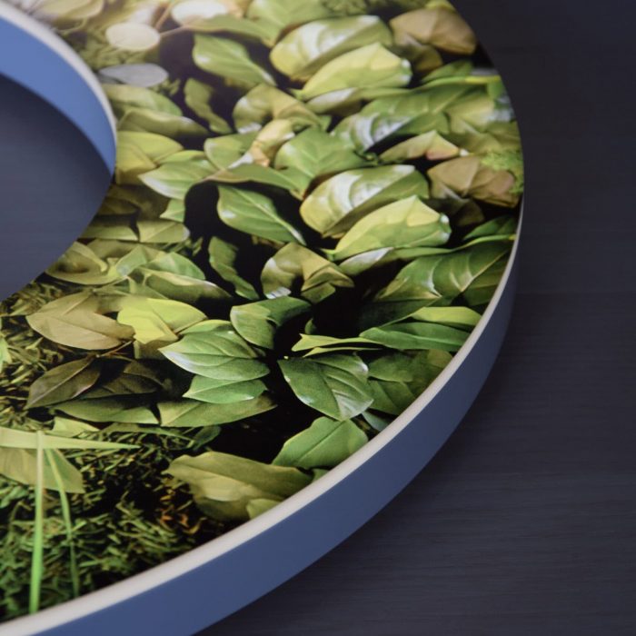 Moosbuchstabe – Nachhaltiges Naturdesign für Logos