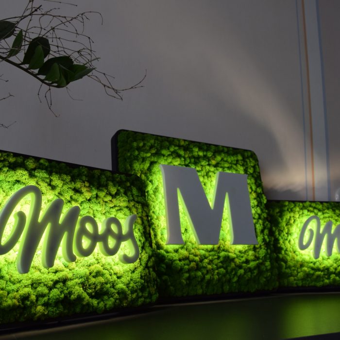 Muster für Acryl LED Leuchtlogo